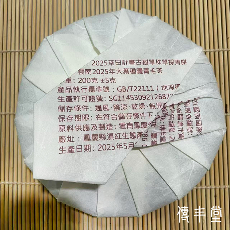 2025年 五百齡過渡型古樹單株青餅 (A.平河單株)